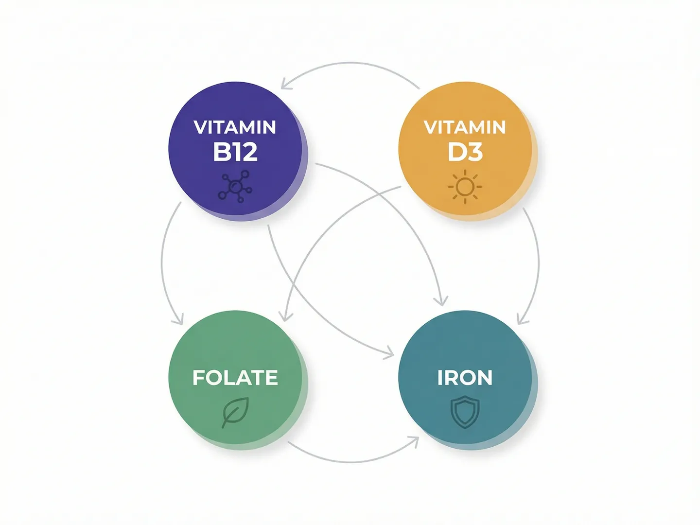 Infographic showing the relationship between Vitamin B12, Vitamin D3, Folate, and Iron with connecting arrows